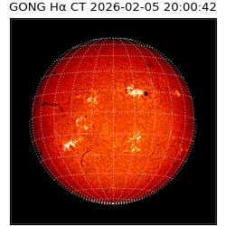 gong - 2026-02-05T20:00:42