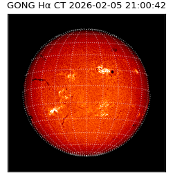 gong - 2026-02-05T21:00:42