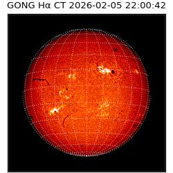 gong - 2026-02-05T22:00:42