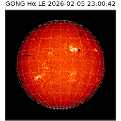 gong - 2026-02-05T23:00:42