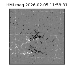 shmi - 2026-02-05T11:58:31