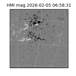 shmi - 2026-02-05T06:58:31.100000