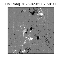 shmi - 2026-02-05T02:58:31