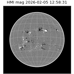 shmi - 2026-02-05T12:58:31