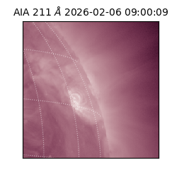 saia - 2026-02-06T09:00:09.630000