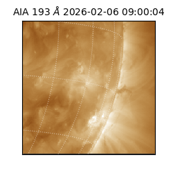 saia - 2026-02-06T09:00:04.843000