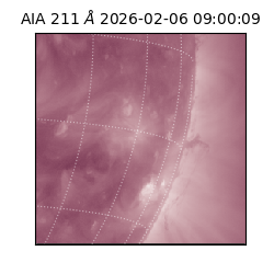 saia - 2026-02-06T09:00:09.630000