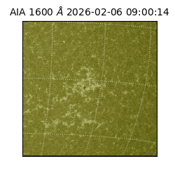 saia - 2026-02-06T09:00:14.126000