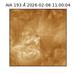 saia - 2026-02-06T11:00:04.843000