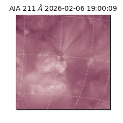 saia - 2026-02-06T19:00:09.633000