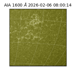 saia - 2026-02-06T08:00:14.125000