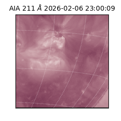 saia - 2026-02-06T23:00:09.626000