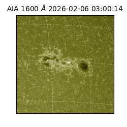 saia - 2026-02-06T03:00:14.129000