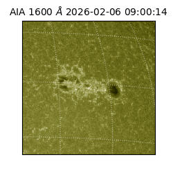 saia - 2026-02-06T09:00:14.126000