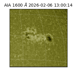 saia - 2026-02-06T13:00:14.126000