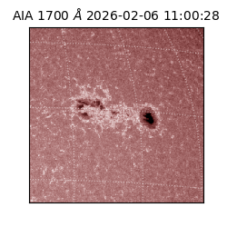 saia - 2026-02-06T11:00:28.721000