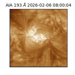 saia - 2026-02-06T08:00:04.843000