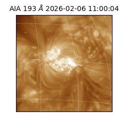 saia - 2026-02-06T11:00:04.843000