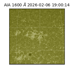 saia - 2026-02-06T19:00:14.125000