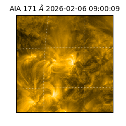 saia - 2026-02-06T09:00:09.351000