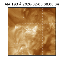 saia - 2026-02-06T08:00:04.843000