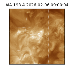 saia - 2026-02-06T09:00:04.843000