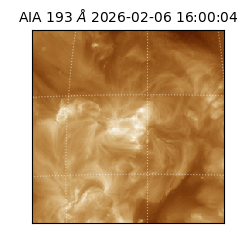 saia - 2026-02-06T16:00:04.842000