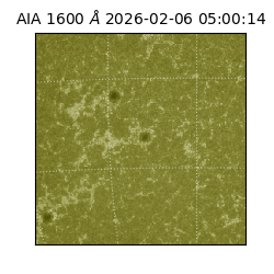 saia - 2026-02-06T05:00:14.126000