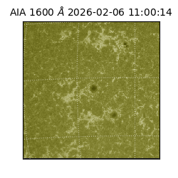 saia - 2026-02-06T11:00:14.126000