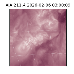 saia - 2026-02-06T03:00:09.630000