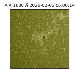 saia - 2026-02-06T05:00:14.126000