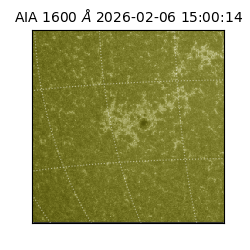 saia - 2026-02-06T15:00:14.118000