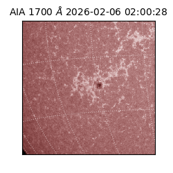 saia - 2026-02-06T02:00:28.718000