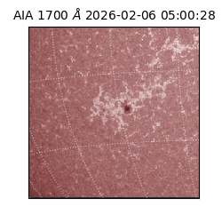 saia - 2026-02-06T05:00:28.721000