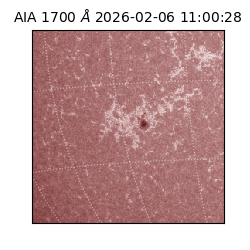 saia - 2026-02-06T11:00:28.721000