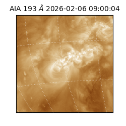 saia - 2026-02-06T09:00:04.843000