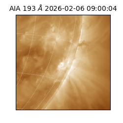 saia - 2026-02-06T09:00:04.843000