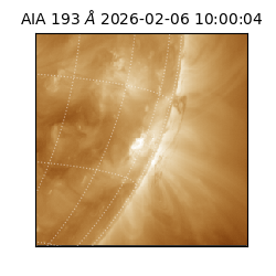 saia - 2026-02-06T10:00:04.835000