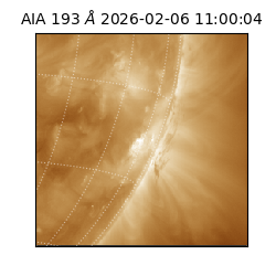 saia - 2026-02-06T11:00:04.843000