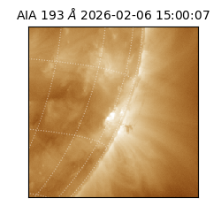 saia - 2026-02-06T15:00:07.037000