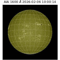 saia - 2026-02-06T10:00:14.118000