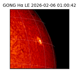 gong - 2026-02-06T01:00:42