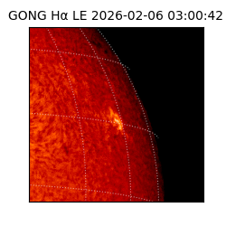 gong - 2026-02-06T03:00:42