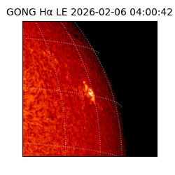 gong - 2026-02-06T04:00:42