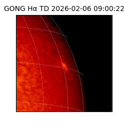 gong - 2026-02-06T09:00:22
