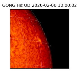 gong - 2026-02-06T10:00:02
