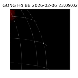 gong - 2026-02-06T23:09:02