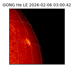 gong - 2026-02-06T03:00:42