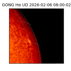 gong - 2026-02-06T08:00:02