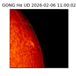 gong - 2026-02-06T11:00:02